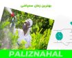 بهترین زمان سم پاشی نهال های گردو، بادام و گلابی