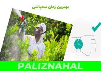 بهترین زمان سم پاشی نهال های گردو، بادام و گلابی