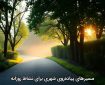 مسیرهای پیاده‌روی شهری برای نشاط روزانه