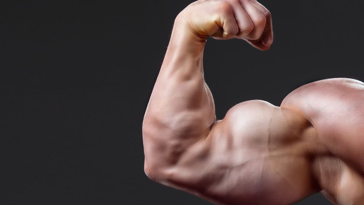 بهترین مکمل بدنسازی برای افزایش حجم بازو | معرفی 3 مکمل