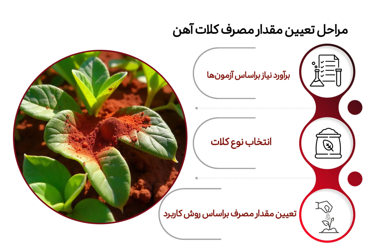 مراحل تعیین مقدار مصرف کلات آهن