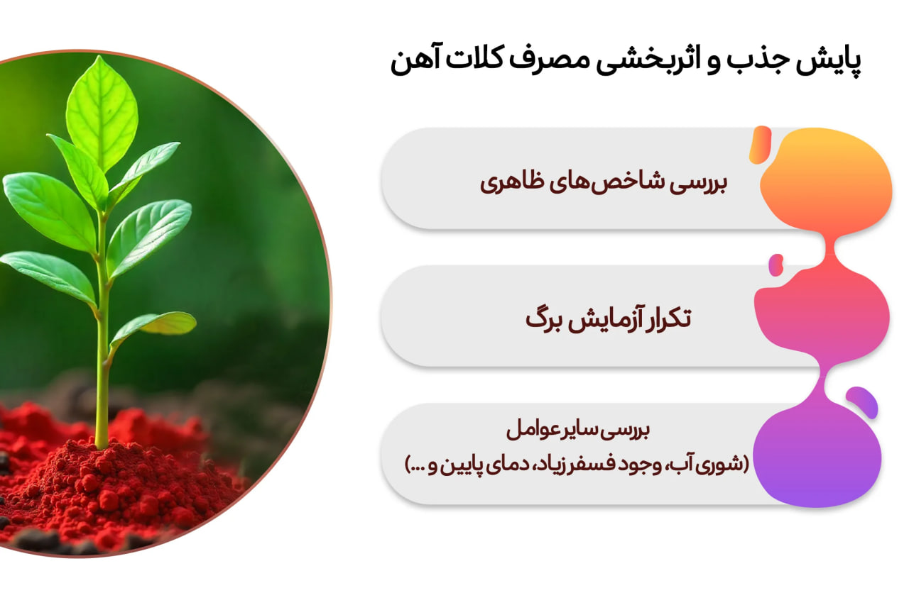 پایش جذب و اثربخشی مصرف کلات آهن