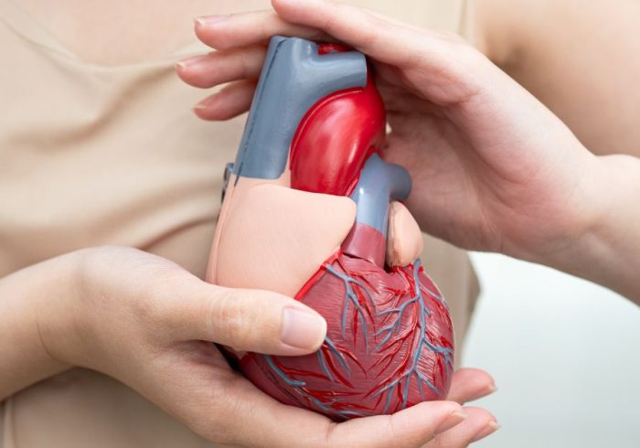 آیا چاقی باعث مرگ زودرس میشود؟