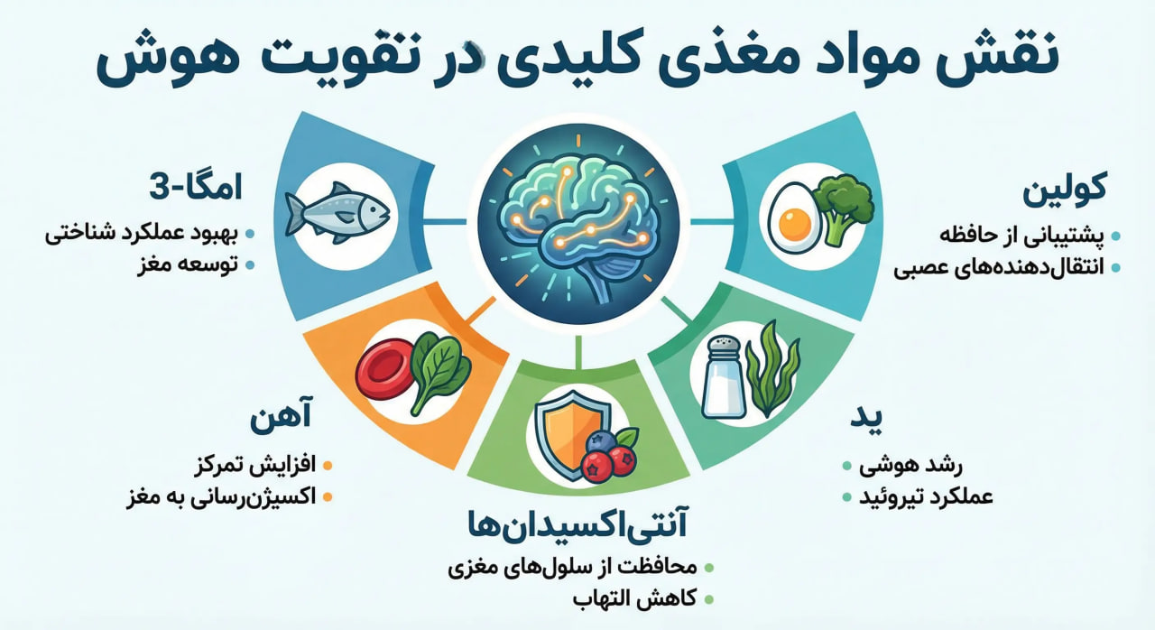بهترین خوراکی ها برای افزایش هوش کودک نکات عملی برای گنجاندن این خوراکی ها در رژیم کودک