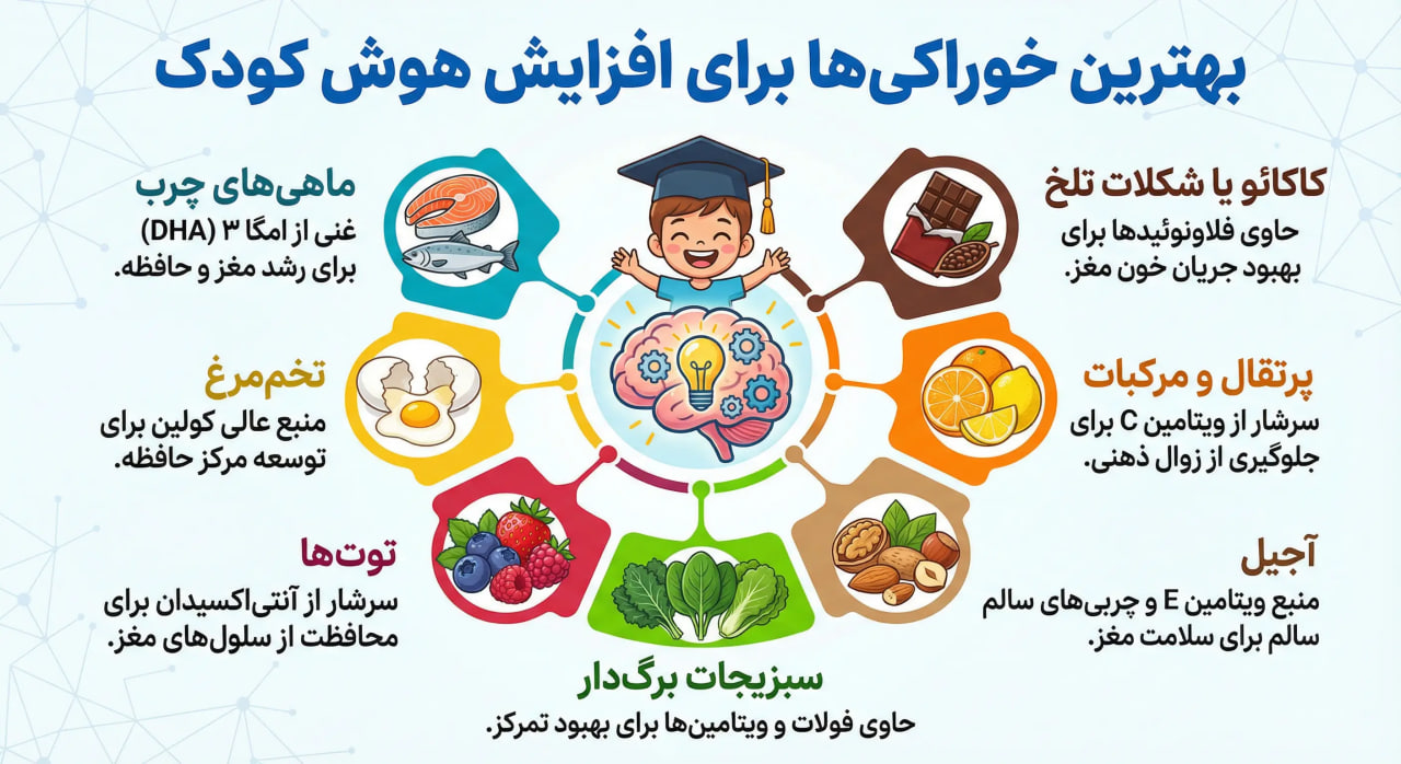 بهترین خوراکی ها برای افزایش هوش کودک بهترین خوراکی برای تقویت مغز کودک