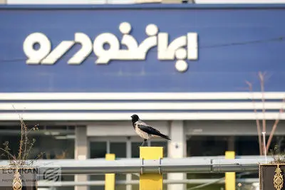 نتایج قرعه‌کشی ایران‌خودرو: وضعیت خودروی هایما را با کد ملی ببینید