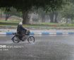 آخرین وضعیت بارش‌ها در هرمزگان؛ باران همچنان ادامه دارد