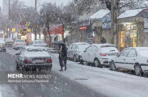 آغاز بارش برف در «سپیدان» فارس