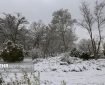 ارتفاع ۴۰ سانتی متری برف در کجور؛ راه ۴۲ روستای بالادست بسته است ارتفاع ۴۰ سانتی متری برف در کجور؛ راه ۴۲ روستای بالادست بسته است