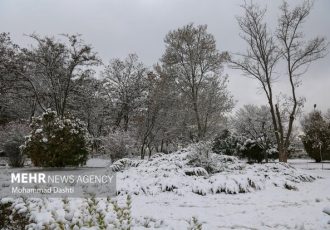 ارتفاع ۴۰ سانتی متری برف در کجور؛ راه ۴۲ روستای بالادست بسته است ارتفاع ۴۰ سانتی متری برف در کجور؛ راه ۴۲ روستای بالادست بسته است