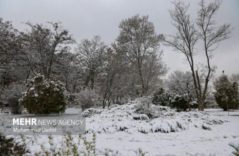 ارتفاع ۴۰ سانتی متری برف در کجور؛ راه ۴۲ روستای بالادست بسته است ارتفاع ۴۰ سانتی متری برف در کجور؛ راه ۴۲ روستای بالادست بسته است