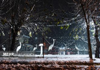 بارش برف در اشکورات رودسر آغاز شد