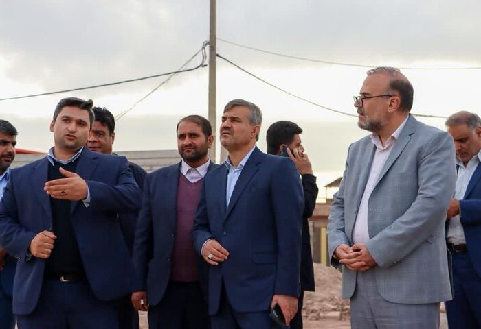 بخشی: فروش دام زنده در ورودی‌های شهرکرمان بهداشت عمومی را تهدید می کند