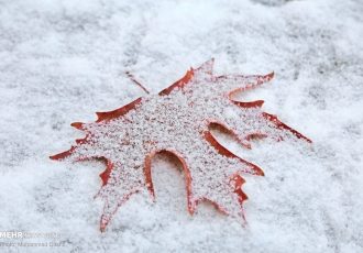 برف نیم متری این استان را غافلگیر کرد + عکس