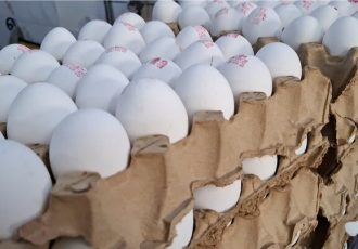 «تخم‌مرغ» چگونه قدرت خرید مردم را بلعید؟