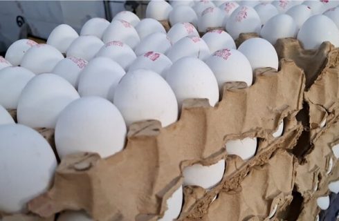 «تخم‌مرغ» چگونه قدرت خرید مردم را بلعید؟