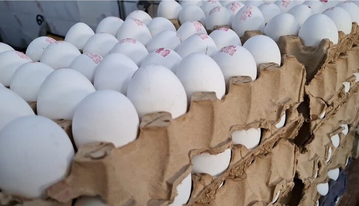 «تخم‌مرغ» چگونه قدرت خرید مردم را بلعید؟