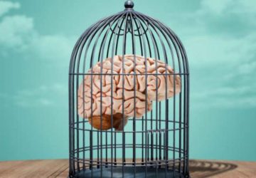 تصلب شناختی و انعطاف‌پذیری ذهن