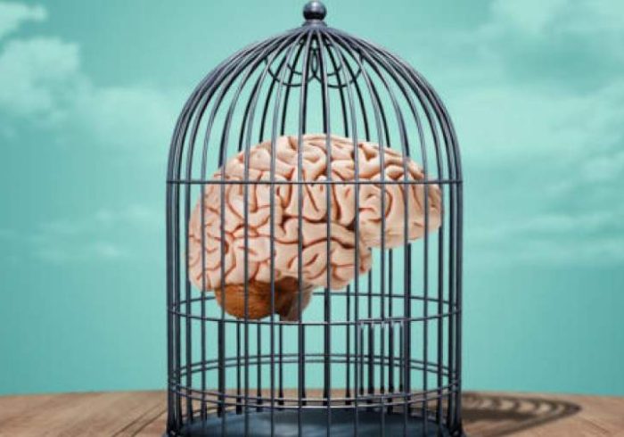 تصلب شناختی و انعطاف‌پذیری ذهن