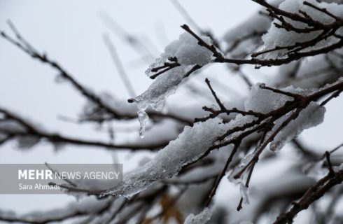 تمامی مدارس شهرستان کهک شنبه غیرحضوری شد