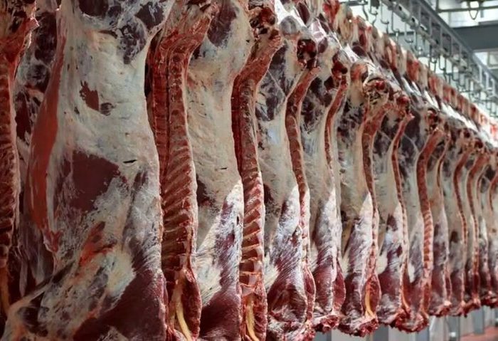 تنظیم بازار گوشت در مشهد زیر ذره‌بین دستگاه‌های نظارتی