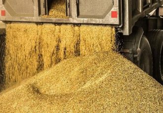 توزیع نهاده‌های دامی از بندر امام ۱۶ درصد رشد کرد