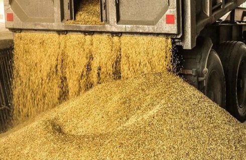 توزیع نهاده‌های دامی از بندر امام ۱۶ درصد رشد کرد