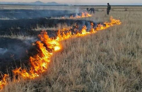 جزئیات مهار آتش‌سوزی در پارک ملی دریاچه ارومیه