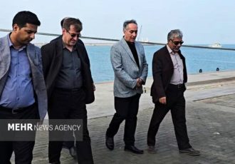 حسینی: کنترل دقیق نهاده‌های دامی پیش از ورود به چرخه تولید ضرورت دارد