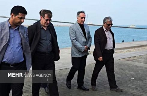 حسینی: کنترل دقیق نهاده‌های دامی پیش از ورود به چرخه تولید ضرورت دارد