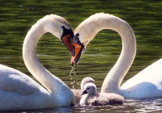 حفظ هویت فردی و تعادل بین «من» و «ما» در ازدواج