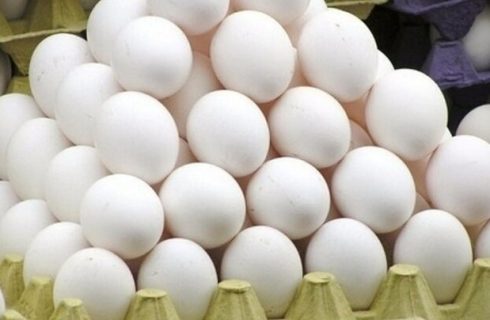 خانزاده: بیش از ۲ تن تخم مرغ فاقد گواهی بهداشتی در کاشمر توقیف شد خانزاده: بیش از ۲ تن تخم مرغ فاقد گواهی بهداشتی در کاشمر توقیف شد