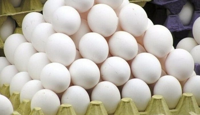 خانزاده: بیش از ۲ تن تخم مرغ فاقد گواهی بهداشتی در کاشمر توقیف شد