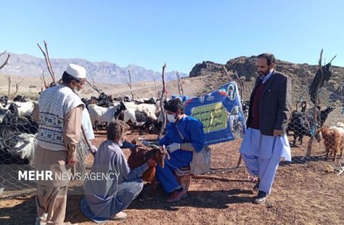 خدمت رایگان دامپزشکی به عشایر روستاهای ایرندگان خاش خدمت رایگان دامپزشکی به عشایر روستاهای ایرندگان خاش