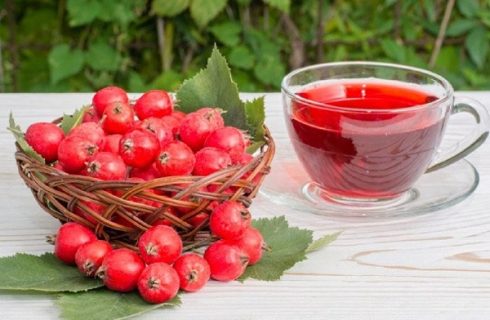 خواص فوق العاده زالزالک در طب سنتی که بعد از مصرف نصیب بدن تان می شود خواص فوق العاده زالزالک در طب سنتی که بعد از مصرف نصیب بدن تان می شود