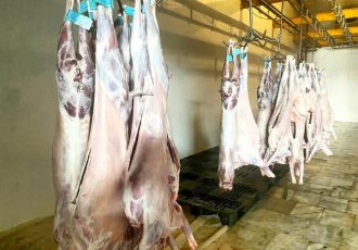 رئیس دامپزشکی کنگان: تأمین گوشت از کشتارگاه‌های مجاز انجام می‌شود