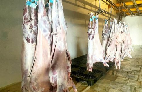 رئیس دامپزشکی کنگان: تأمین گوشت از کشتارگاه‌های مجاز انجام می‌شود