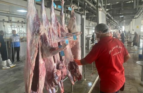 زنجیره سرد گوشت تا دورترین شهرستان‌های استان بوشهر