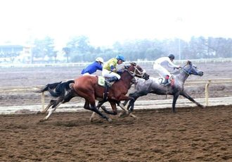 سهراب دهش چابکسوار برتر هفته هفتم اسبدوانی گنبدکاووس شد