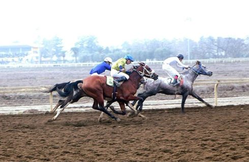 سهراب دهش چابکسوار برتر هفته هفتم اسبدوانی گنبدکاووس شد