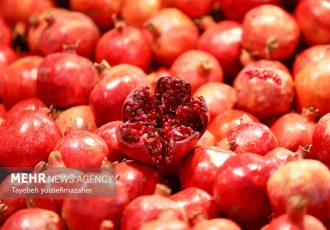 شب یلدا را هوشمندانه بگذرانیم؛ نه پرخوری، نه حذف دورهمی