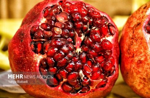 شب یلدا و افزایش قیمت‌ها؛ نبود نظارت بر توزیع بازار همدان را ملتهب کرد