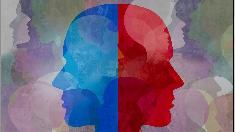 شخصیت پایدار چیست؟