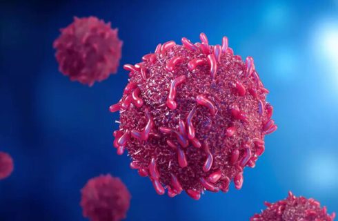 شریفی: آموزش و تغییر سبک زندگی کلید پیشگیری از بیماری‌ها است