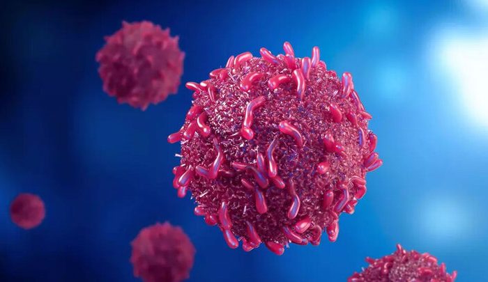 شریفی: آموزش و تغییر سبک زندگی کلید پیشگیری از بیماری‌ها است