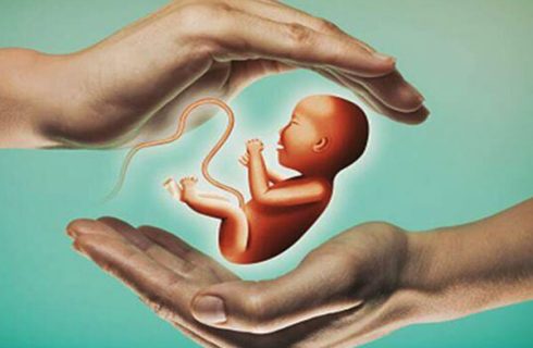 شعار فرزند کمتر، زندگی بهتر، بر الگوهای فرزندآوری اثر گذاشته است شعار فرزند کمتر، زندگی بهتر، بر الگوهای فرزندآوری اثر گذاشته است