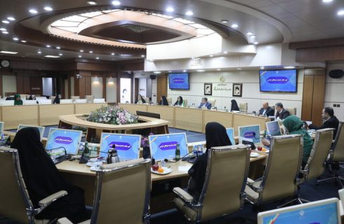 ظفرقندی: اجرای سیاست های جمعیتی عزم ملی می خواهد