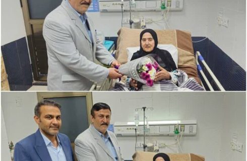 فرماندار دیلم با مادر شهید بازویی دیدار کرد