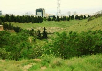 قرنطینه موقت مرکز بازپروری پردیسان به دلیل شیوع ویروس «پن‌لوکوپنی»