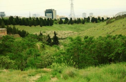 قرنطینه موقت مرکز بازپروری پردیسان به دلیل شیوع ویروس «پن‌لوکوپنی»